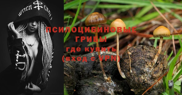 спайс Арсеньев