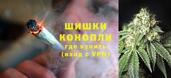 спайс Арсеньев